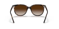 Ray-Ban RB4378 601/71 54 Kadın Güneş Gözlüğü