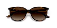 Ray-Ban RB4378 601/71 54 Kadın Güneş Gözlüğü