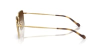 Vogue VG 4338SI 280/13 56 Unisex Güneş Gözlüğü 