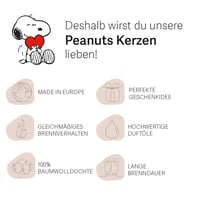 Peanuts Evim Tatlı Evim Kokulu Mum