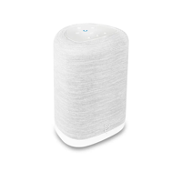 Bluesound PULSE FLEX P130 Kablosuz Streaming Hoparlör - Beyaz