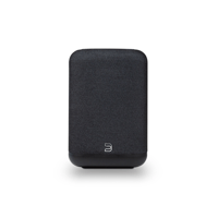 Bluesound PULSE FLEX P130 Kablosuz Streaming Hoparlör - Siyah