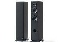 Elipson Horus 11F Kule Tipi Hi-Fi Hoparlör - Siyah/Karbon
