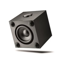 Focal Cub Evo Subwoofer