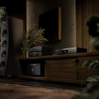 Hegel D50 The Raven High-End DAC