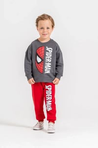 Spiderman Baskılı Takım