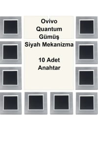 Asyagrup Ovivo Quantum Gümüş Çerçeve,Siyah Anahtar - 10 Adet