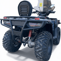 ARKA BAR - XWOLF 300 ATV