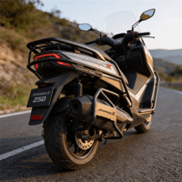 EGZOZ KORUMA (BORU) - ADX 250