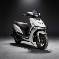 ETRAF KORUMA DEMIRI - DASH 125