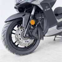 KALIPER KORUMA - ADX 250