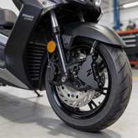 KALIPER KORUMA - ADX 250