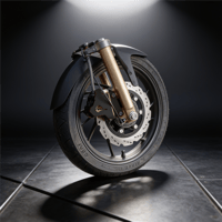 KALIPER KORUMA - APACHE RTR200