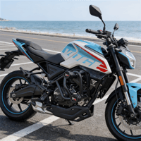 MOTOR KORUMA DEMIRI - R125