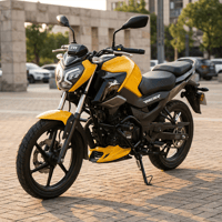 MOTOR KORUMA - RAIDER 125