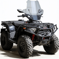 PLEXI SPERLIK - XWOLF 300 ATV