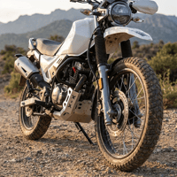 RADYATOR KORUMA - XPULSE 200