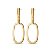 VİP Altın Sarısı Geometrik Oval Halkalı Sallantılı Kadın Küpe Gold