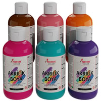 Tamamlayıcı Renkler Akrilik Boya 6'lı Set 6x250gr