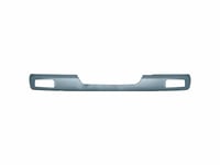 ÖN METAL TAMPON DELİKLİ DAF LF 55