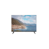 24DL2000F 24'' HD T2/S2 220AC/12V DC Televizyon