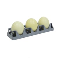 DEVEKUŞU KULUÇKA GELİŞİM TABLASI-TR03