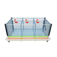 GELİŞTİRME KAFESİ GL40 / 2 KATLI