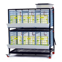 GELİŞTİRME KAFESİ GL40 / 2 KATLI