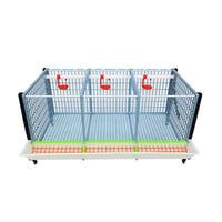 GELİŞTİRME KAFESİ GL40 / KAT ARTIRIM