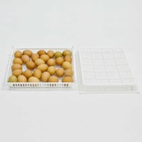 KULUÇKA ÇIKIM SEPETİ CS30Y