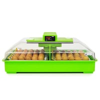 KULUÇKA MAKİNASI PD60 SH