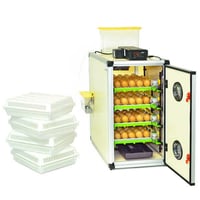 KULUÇKA MAKİNESİ CT120 SH