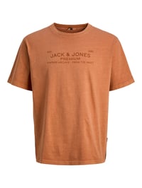 Jack&Jones JPRBLUAIDEN SS TEE Pudra Erkek T-Shirt 12293014