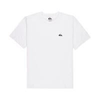 Quiksilver BASIC SS TEE YOUNG MEN Beyaz Erkek T-Shirt EQYZT07711-908
