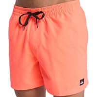 Quiksilver EVERYDAY SOLID VOLLEY 15 Pudra Erkek Şort EQYJV04120-MKZ0