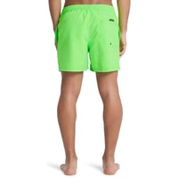 Quiksilver EVERYDAY SOLID VOLLEY 15 Yeşil Erkek Şort EQYJV04120-GGY0