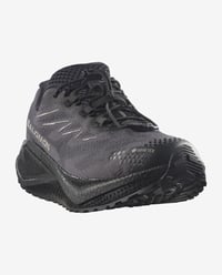 Salomon AERO BLAZE 4 GRVL GTX Antrasit Erkek Koşu Ayakkabısı