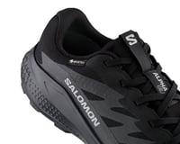 Salomon ALPHAGLIDE GTX Siyah Erkek Koşu Ayakkabısı L47802100