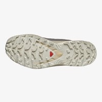 Salomon XA PRO 3D V9 Bej Erkek Outdoor Ayakkabı L47986100