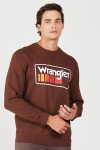 Wrangler Bisiklet Yaka Sweatshirt Kahverengi Erkek Sweatshirt W646H1H44