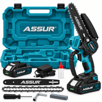 ASSUR 21V Şarjlı Mini Dal Budama Testeresi 6 İnç Çantalı Set