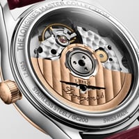 Longines Master Collection L2.450.5.89.2 34mm Kadın Kol Saati