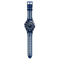 Swatch
