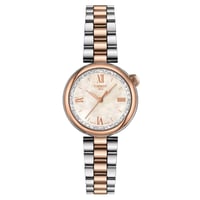 Tissot Desir 28mm Kadın Kol Saati T152.010.22.118.00