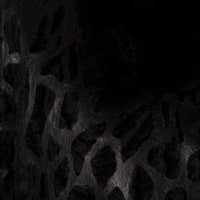 K11832 KADIN KURK KABAN