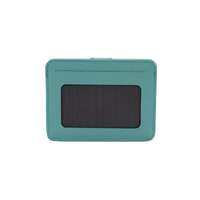 Lenora Yeşil Kadın Deri Kartlık