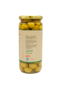Organik Yeşil Zeytin 500cc