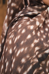 Ceylan Desen Şal Açık Kahve