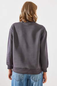 Üç İplik Şardonlu Yuvarlak Yaka Pati Baskılı Sweatshirt MBHS005 60601005 - Füme