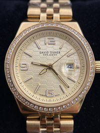 David Guner San Diego 30 mm Kadın Kol Saati Gold Kadran Taşlı Bezel Çelik Kordon